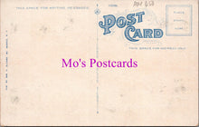 Load image into Gallery viewer, America Postcard - Masonic Temple, Mount Morris, New York  HM450
