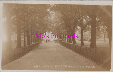 London Postcard - The Avenue, Peckham Rye Park  HM568