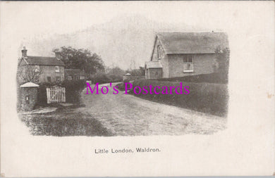 Sussex Postcard - Little London, Waldron   HM538