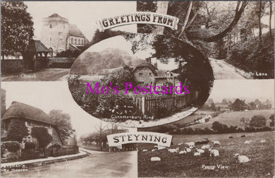 Sussex Postcard - Greetings From Steyning   HM540