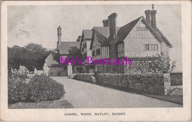 Sussex Postcard - Chapel Wood, Nutley   HM541