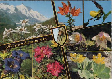 Nature Postcard - Flowers, Alpen-Flora in Osterreichs Bergen SW16303