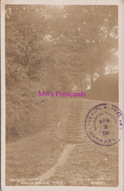 Cheshire Postcard - The Grass Steps, Bollin Valley, Hale  SW16373