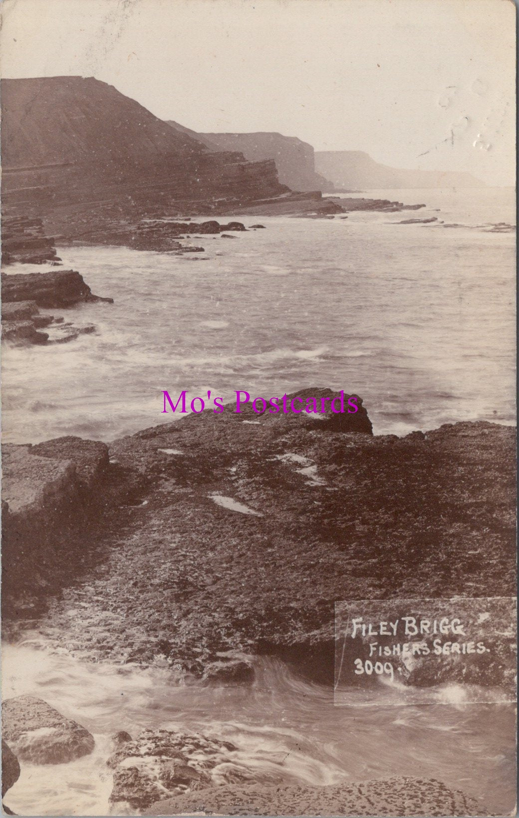 Yorkshire Postcard - Filey Brigg  SW16375