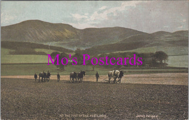 Agricultural Postcard - At The Foot of The Pentlands SW14760