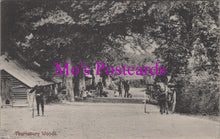 Load image into Gallery viewer, Hampshire Postcard - Tournabury Woods, Hayling Island  SW14773

