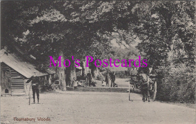 Hampshire Postcard - Tournabury Woods, Hayling Island  SW14773