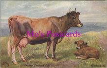 Load image into Gallery viewer, Animals Postcard - Jersey Cow and Calf. Artist Nora Drummond SW14787
