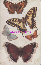 Load image into Gallery viewer, Animals Postcard - Butterflies and Moths   SW14790
