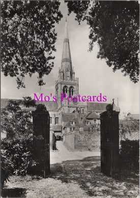 Sussex Postcard - Chichester Cathedral. Exterior From The South SW15253