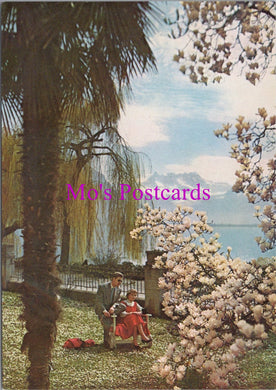 Switzerland Postcard - Montreaux; Magnolia Blossom in March   SW15275