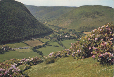 Wales Postcard - The Pass at Dinas Mawddy   SW15701