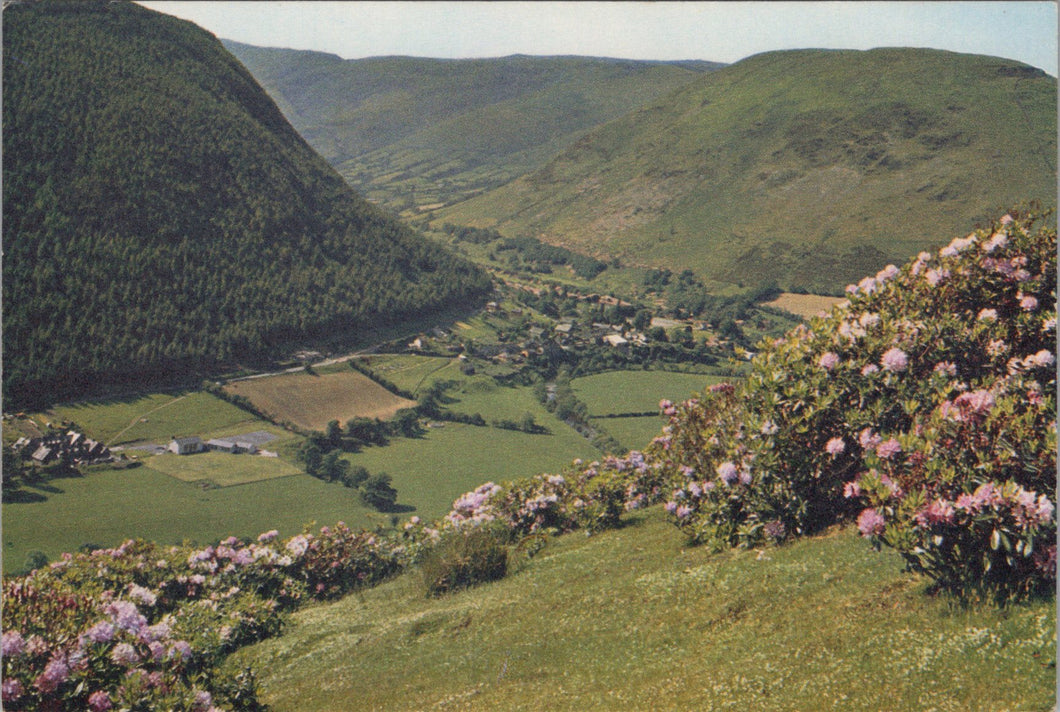 Wales Postcard - The Pass at Dinas Mawddy   SW15701