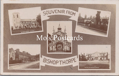 Yorkshire Postcard - Souvenir From Bishopthorpe  SW15546