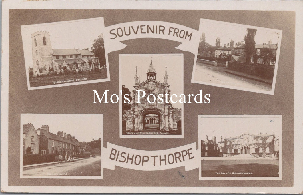 Yorkshire Postcard - Souvenir From Bishopthorpe  SW15546