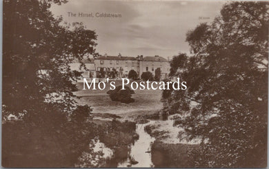 Scotland Postcard - The Hirsel, Coldstream   SW15548