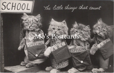 Animals Postcard - Cats, Kittens, The Little Things That Count  SW15737