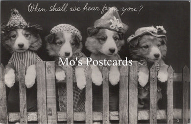 Animals Postcard - Dogs, Puppies, When Shall We Hear From You  SW15738