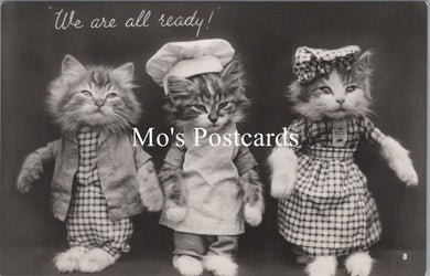 Animals Postcard - Cats, Kittens, We Are All Ready!  SW15740