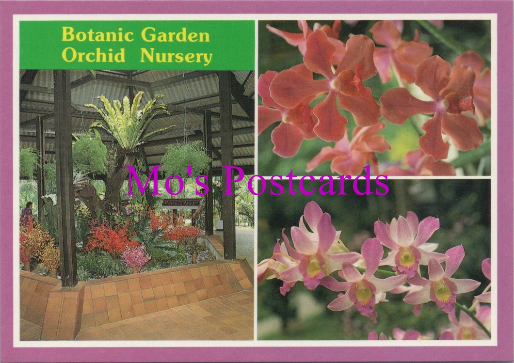 Flowers Postcard - Botanic Garden Orchid Nursery  SW15441