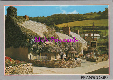 Devon Postcard - The Mason's Arms, Branscombe   SW14296