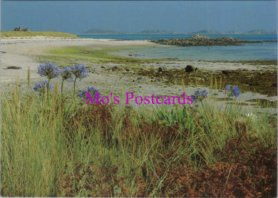 Cornwall Postcard - Tresco Shore, Isles of Scilly   SW14315
