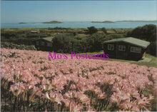 Load image into Gallery viewer, Cornwall Postcard - Higher Town, St Martin&#39;s, Isles of Scilly   SW14316

