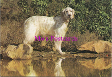 Load image into Gallery viewer, Animals Postcard - Dogs, Dog Stood Next To a Lake SW14330
