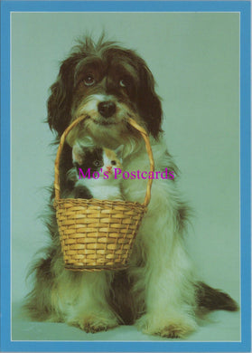 Animals Postcard - Cute Dog Holding a Cat in a Basket  SW14334