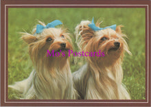 Load image into Gallery viewer, Animals Postcard - Two Cute Dogs With Blue Hair Bows  SW14352
