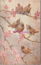 Load image into Gallery viewer, Animals Postcard - Birds, Sweet Songsters  DZ115
