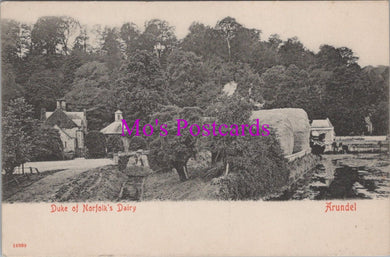 Sussex Postcard - Arundel, Duke of Norfolk's Dairy  DZ137