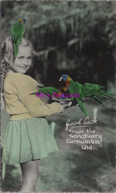 Australia Postcard - Good Luck From The Sanctuary, Currumbin DZ347