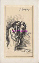 Load image into Gallery viewer, Animal Art Postcard - Prize Dogs - St Bernard   DZ348
