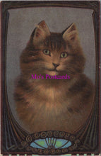 Load image into Gallery viewer, Animals Postcard - Cats, Pretty Kittens Series   DZ356
