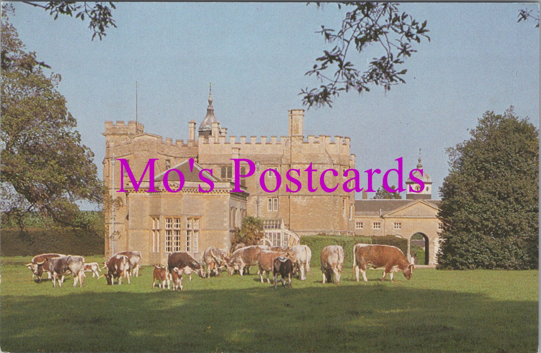 Oxfordshire Postcard - Cows at Rousham Park  HM1