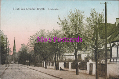 Germany Postcard - Gruss Aus Schneverdingen, Schulstrasse  SW14430