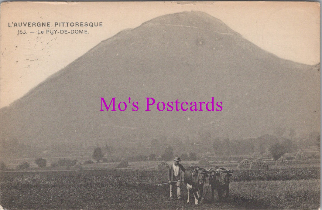 France Postcard - Le Puy-De-Dome, Farming, Agriculture    SW14474