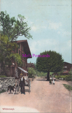 Switzerland Postcard - Wilderswyl, Wilderswil Village   SW14484