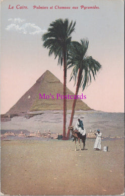 Egypt Postcard - Le Caire, Palmiers Et Chameau Aux Pyramids  SW14827