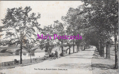 Cumbria Postcard - Carlisle Park and River Eden     DZ288