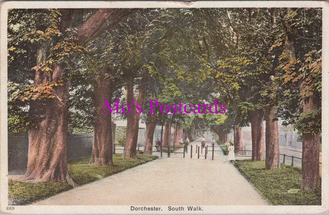 Dorset Postcard - Dorchester, South Walk  SW14423