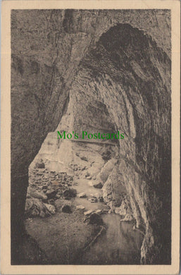 Algeria Postcard - Constantine, Dans Les Gorges SW13750
