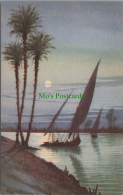 Egypt Postcard - Sailing 'Felukas' on The Nile   SW13768