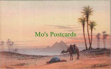 Egypt Postcard - Prayer in The Desert at Sunrise  SW13794