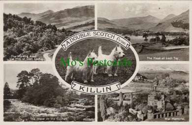 Scotland Postcard - A Double Scotch From Killin  SW13798