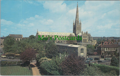 Norfolk Postcard - Norwich Cathedral   SW13882