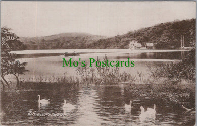 Wiltshire Postcard - Shearwater Lake, Near Warminster  SW13888
