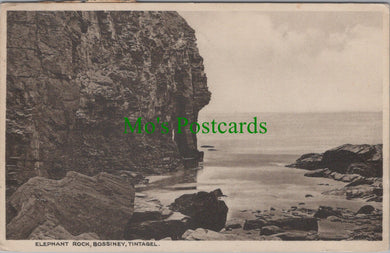 Cornwall Postcard - Elephant Rock, Bossiney, Tintagel  SW13915