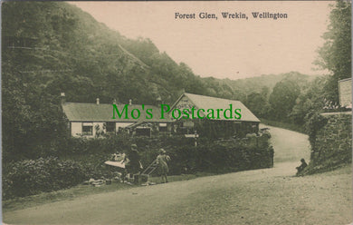 Shropshire Postcard - Forest Glen, Wrekin, Wellington  SW13937
